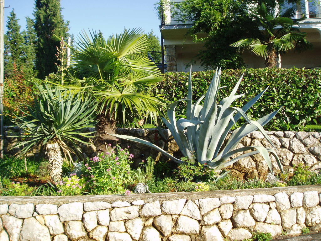 Apartment Elizabet