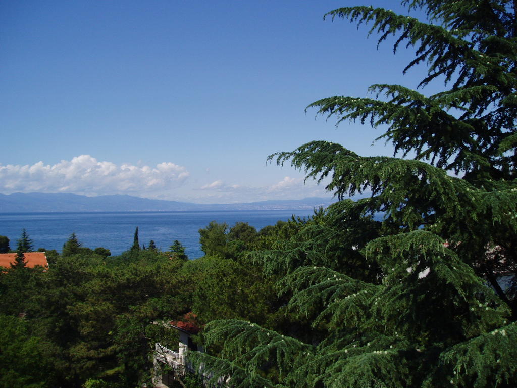 Elizabet