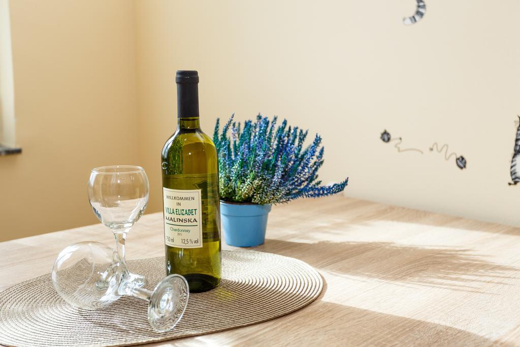 Apartment Elizabet Malinska